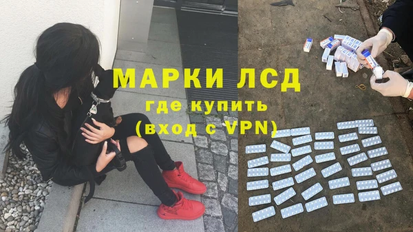 apvp Белокуриха