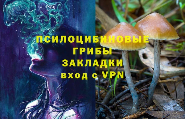 крисы Беломорск