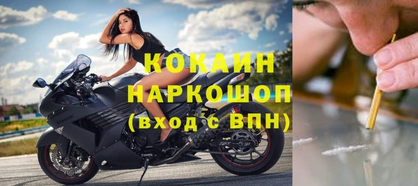 apvp Белокуриха