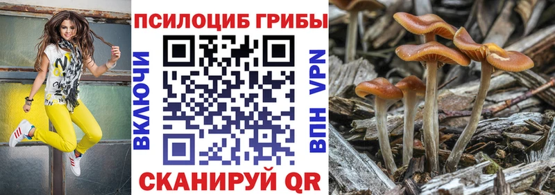 Псилоцибиновые грибы мицелий  хочу   Жердевка 